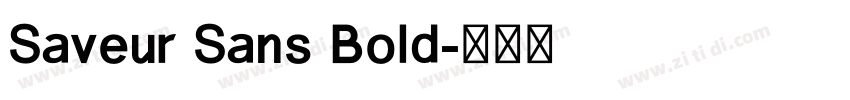 Saveur Sans Bold字体转换